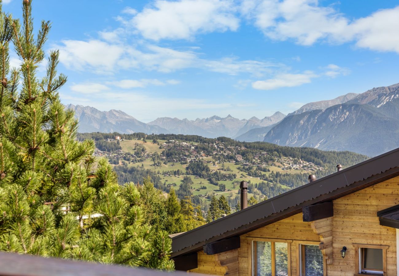 Chalet à Anzère - Campanule