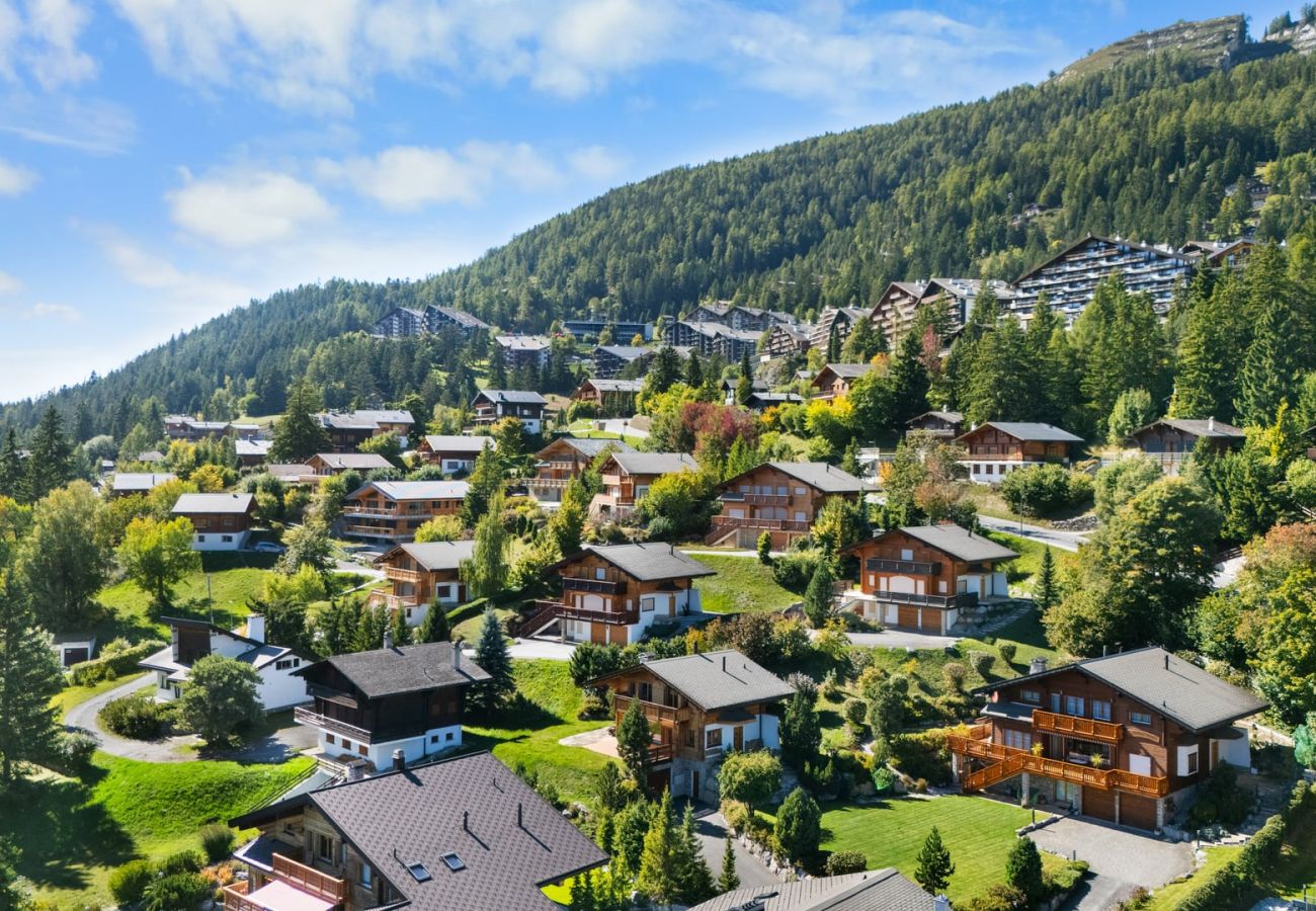 Chalet à Anzère - Campanule