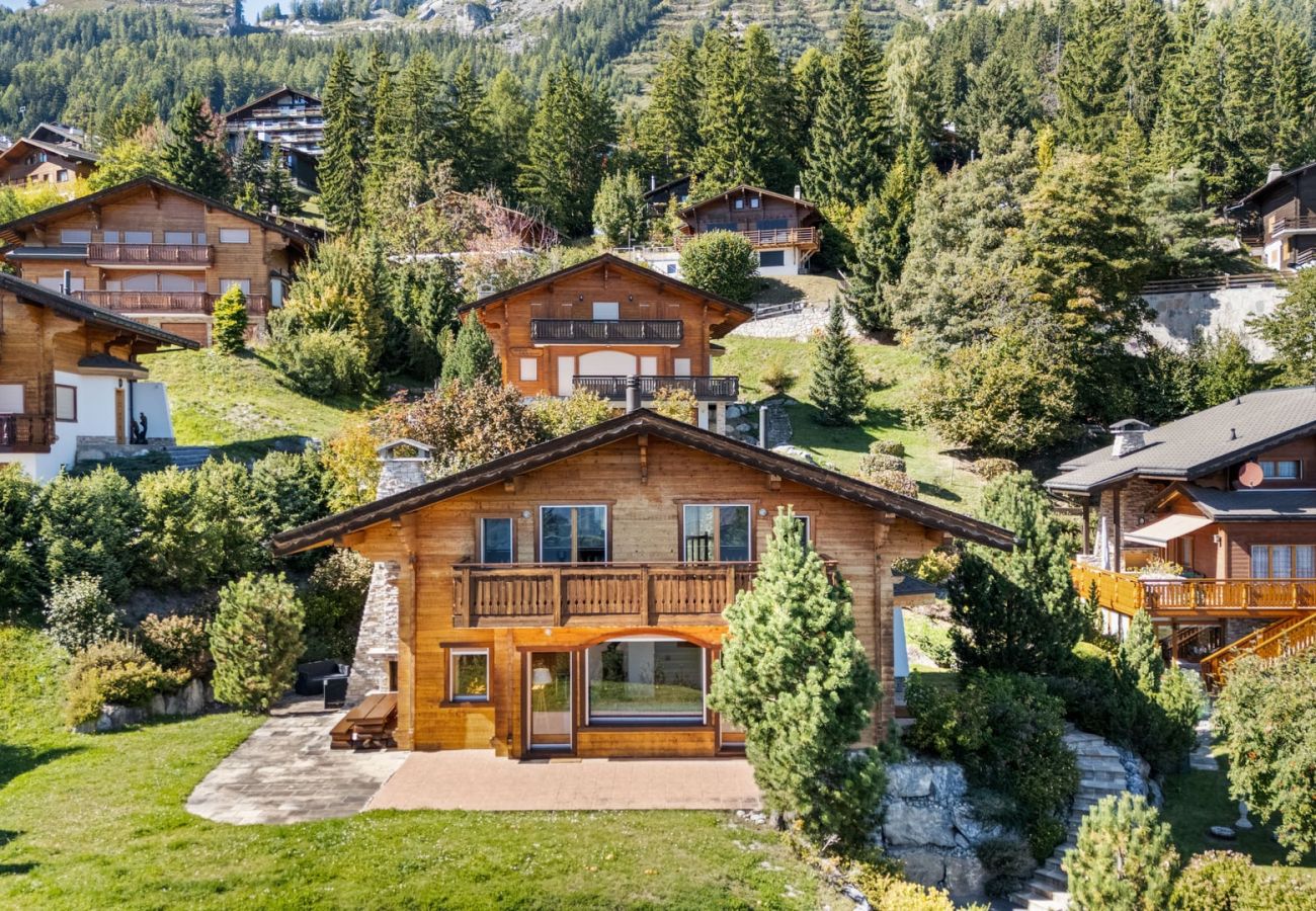 Chalet à Anzère - Campanule