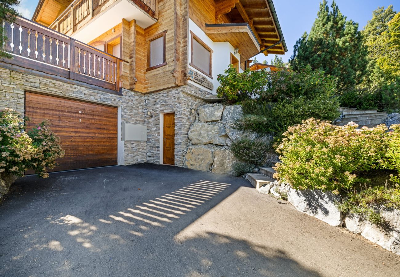 Chalet à Anzère - Campanule