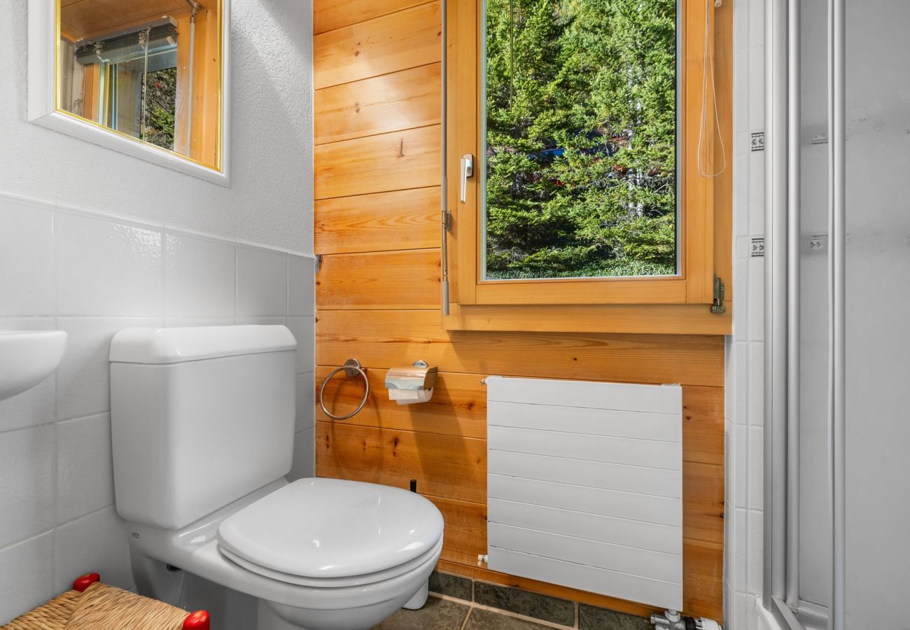 Chalet à Anzère - La Frenaie