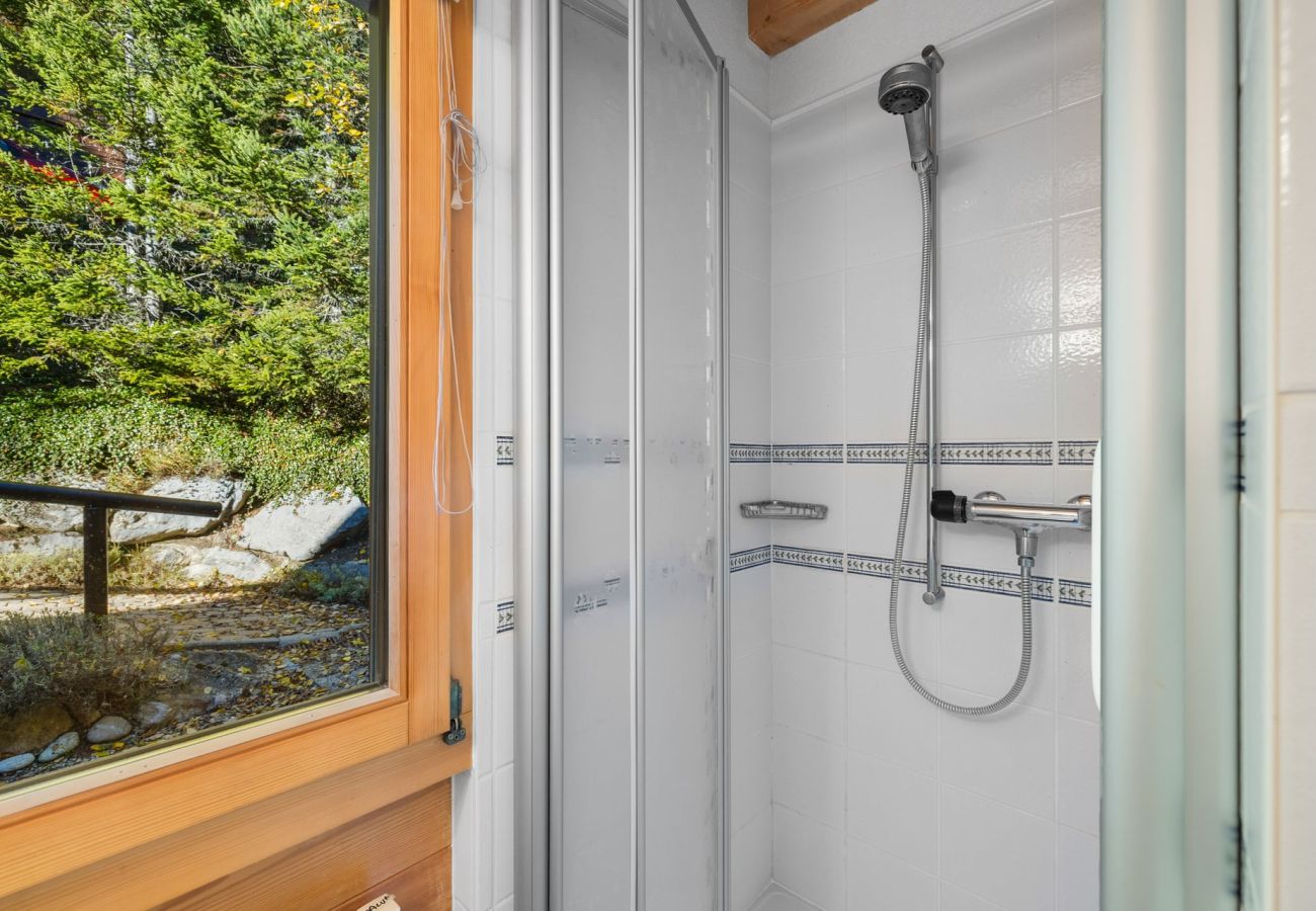 Chalet à Anzère - La Frenaie