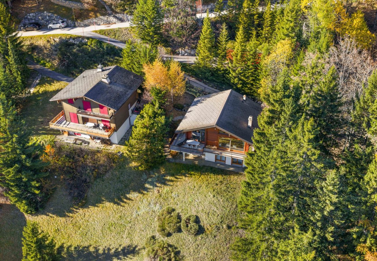 Chalet à Anzère - La Frenaie