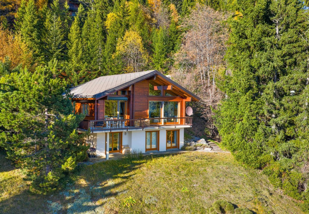 Chalet à Anzère - La Frenaie