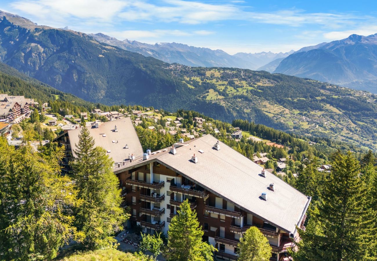 Appartement à Anzère - Saphir 401