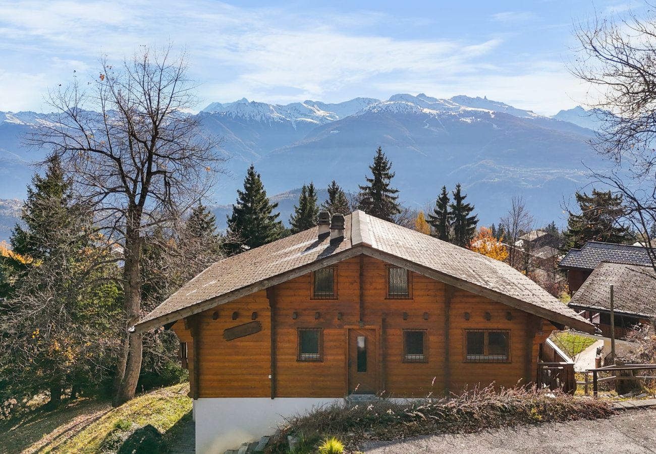 Chalet à Anzère - Praz da Luys