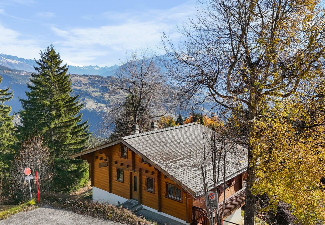Chalet à Anzère - Praz da Luys