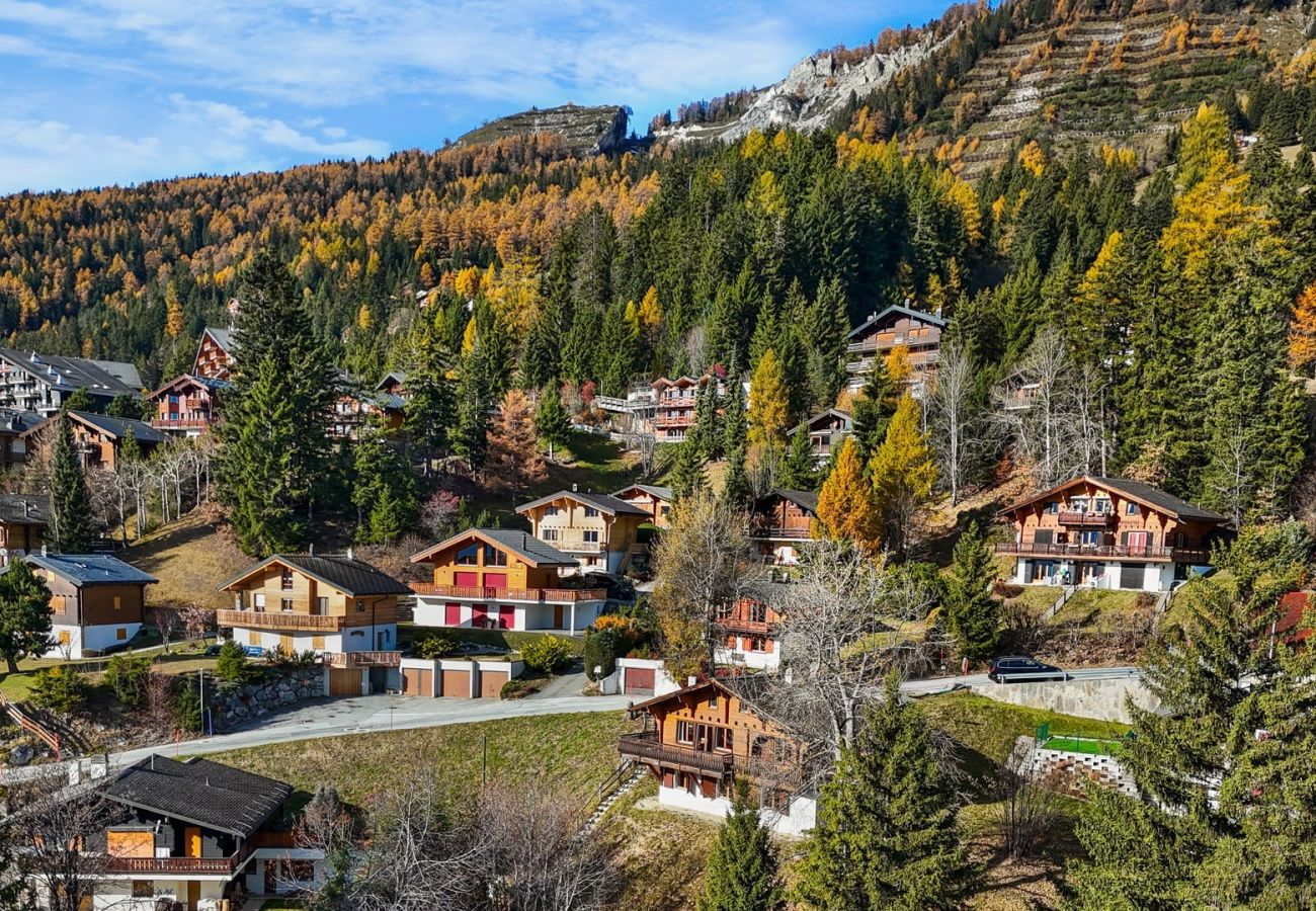 Chalet à Anzère - Praz da Luys