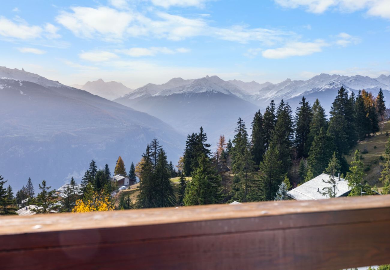 Studio à Anzère - AV3 302