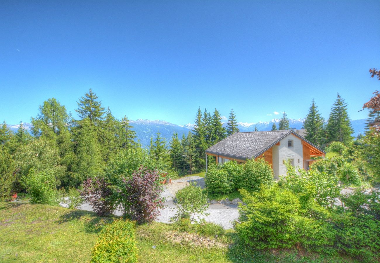 Appartement à Anzère - Rosalp 106