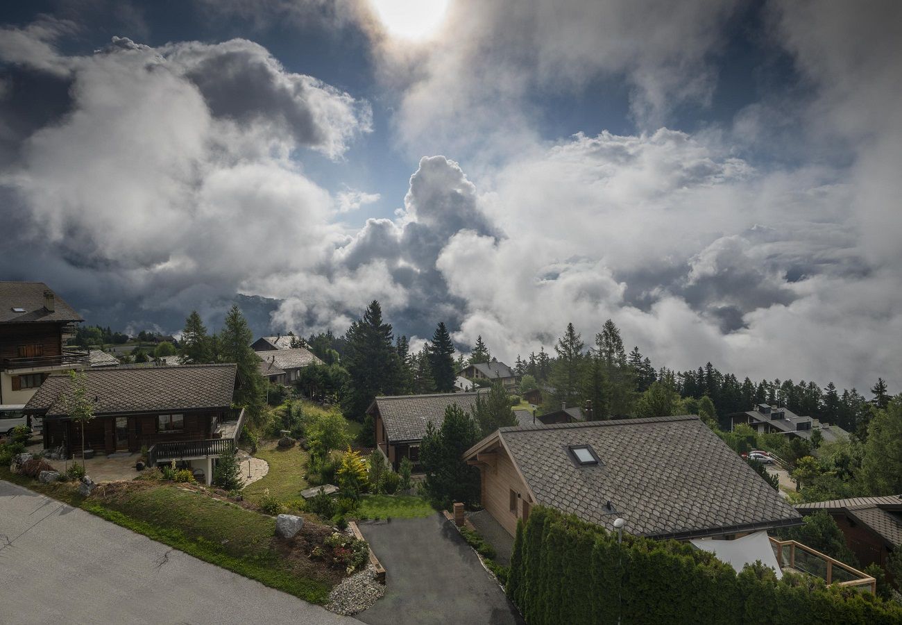 Appartement à Anzère - Dailles B 8