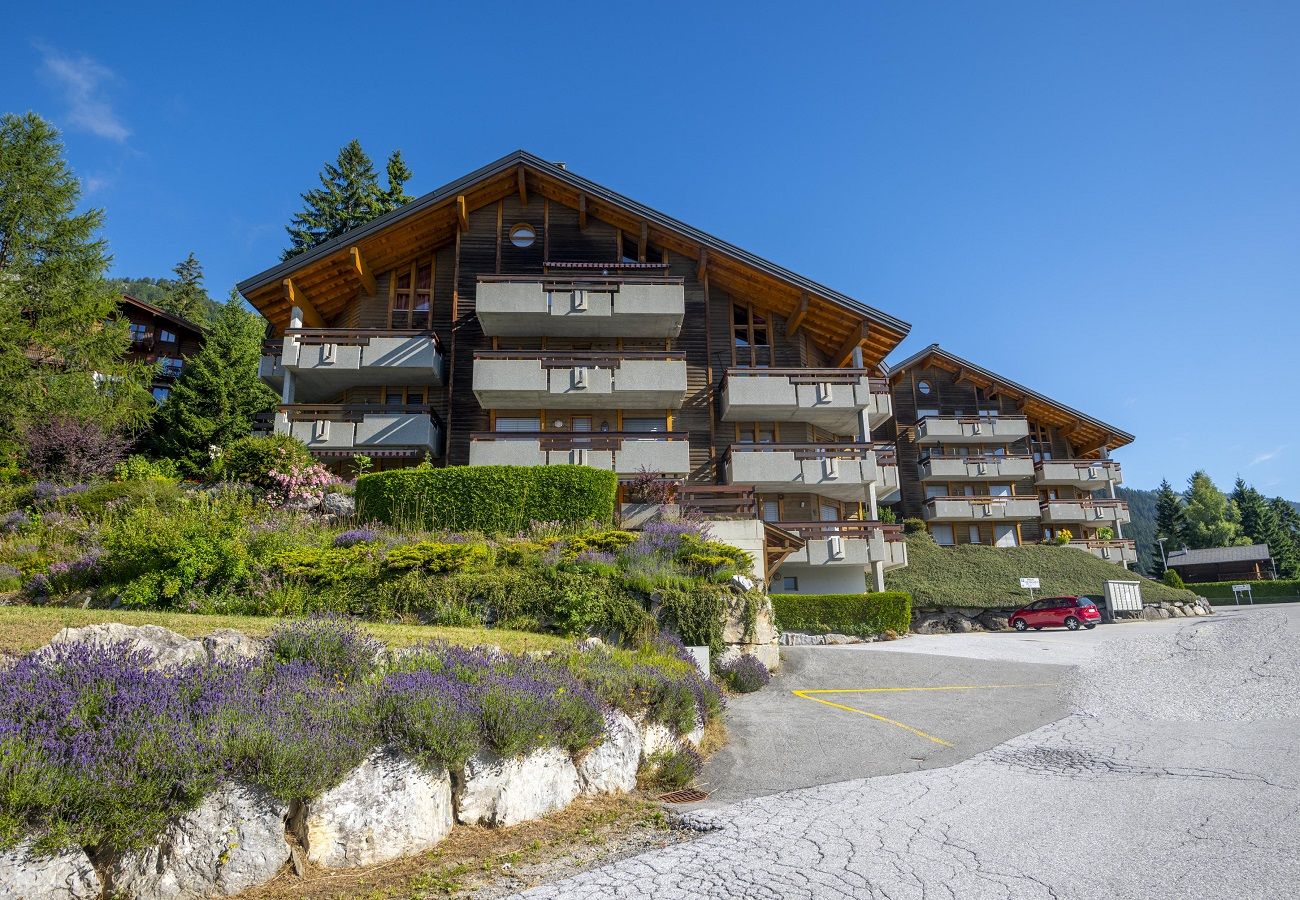 Appartement à Anzère - Dailles B 8