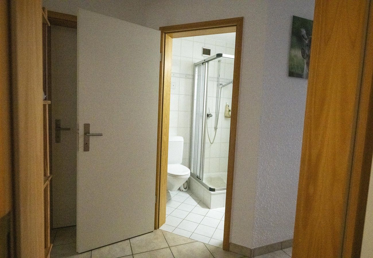 Appartement à Anzère - Dailles B 8