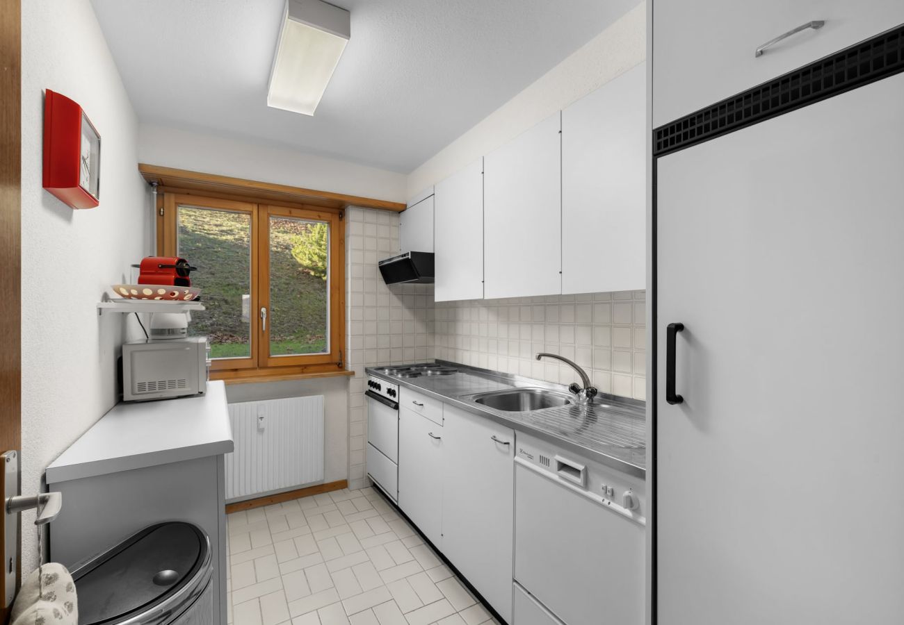 Appartement à Anzère - Aulnes 1