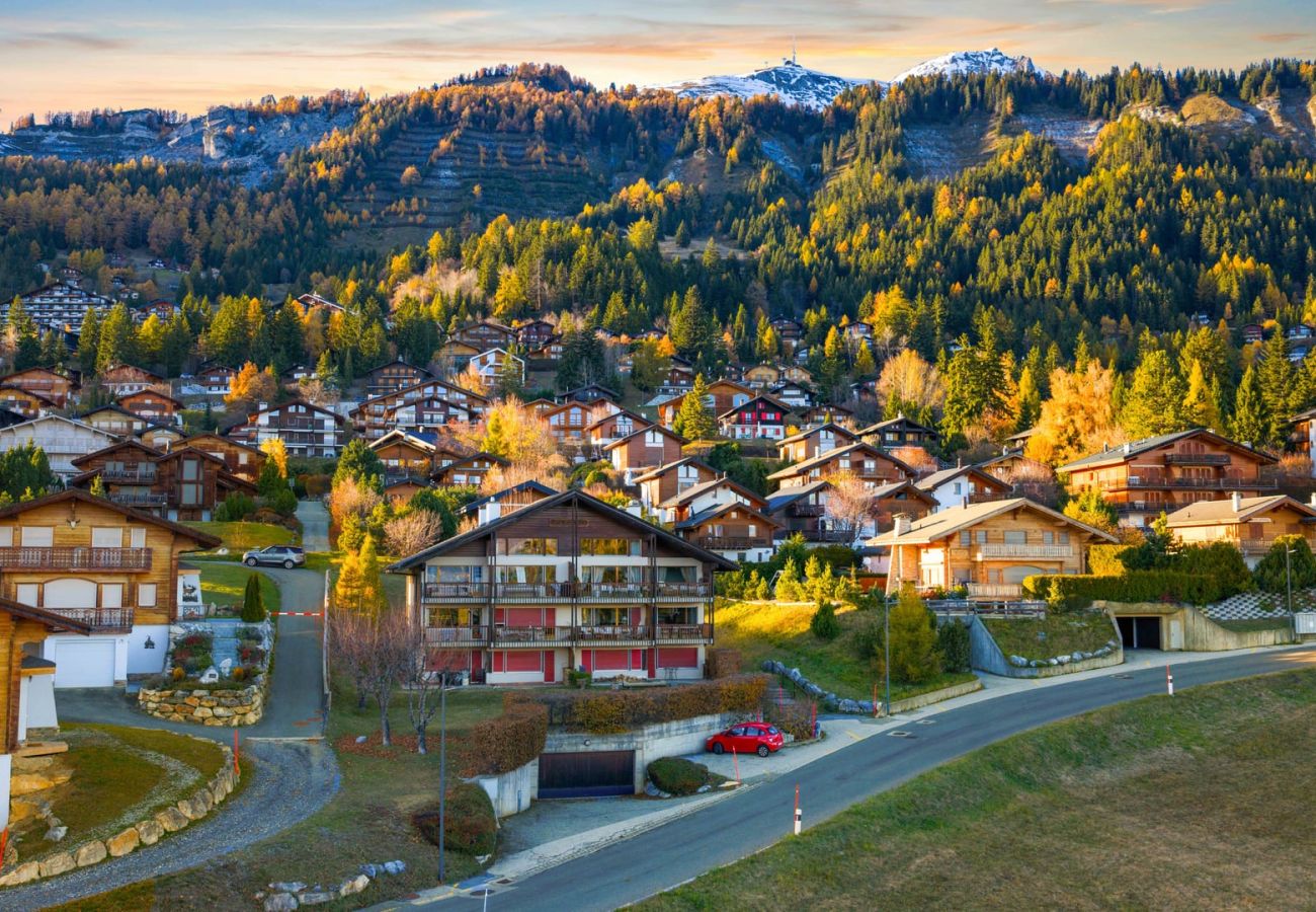 Appartement à Anzère - Aulnes 1