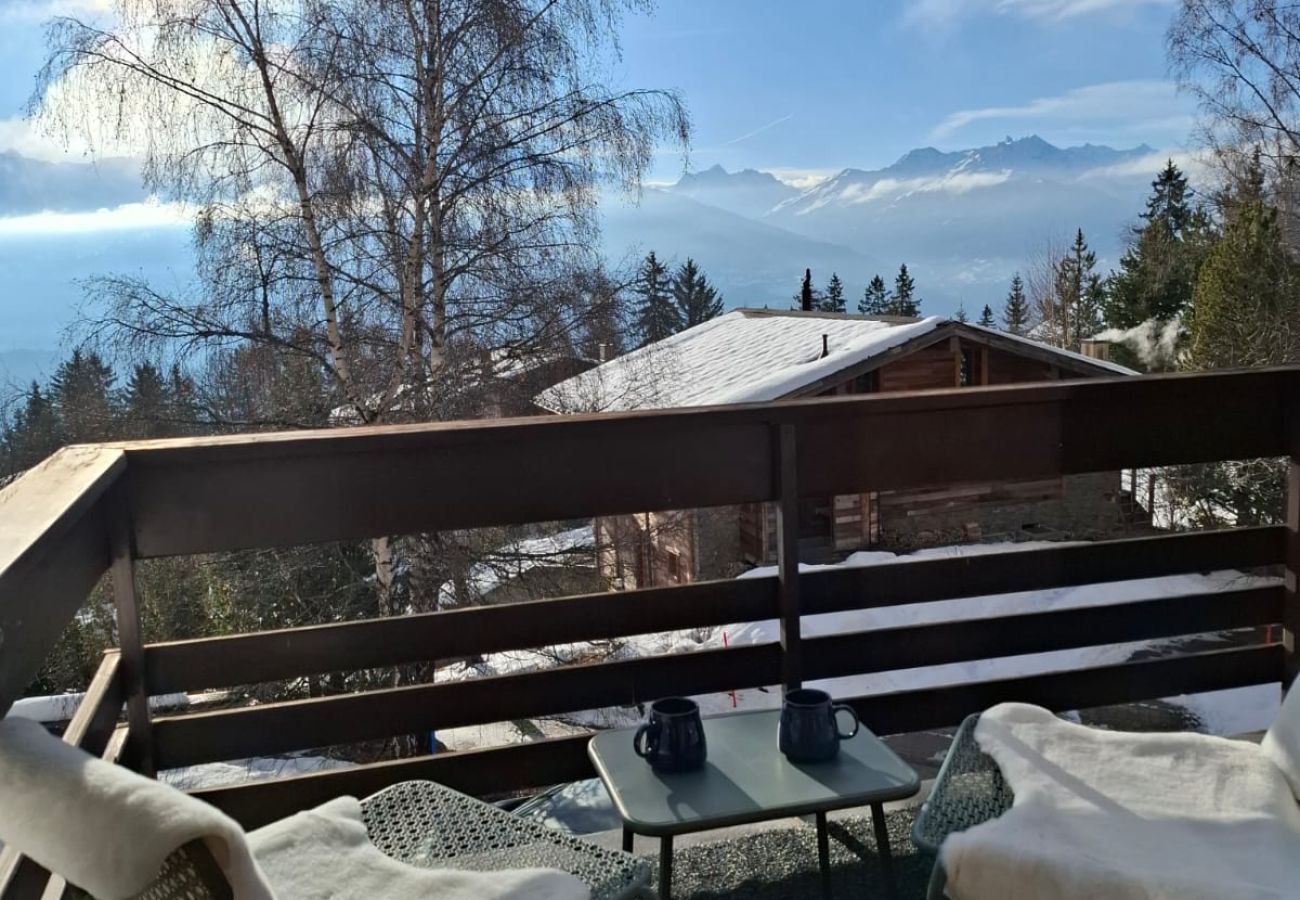 Appartement à Anzère - Edelweiss D 503