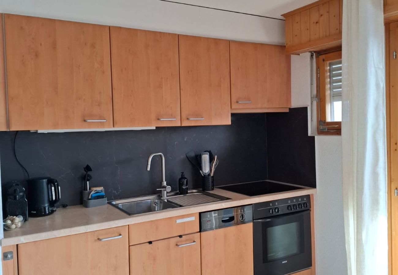 Appartement à Anzère - Edelweiss D 503