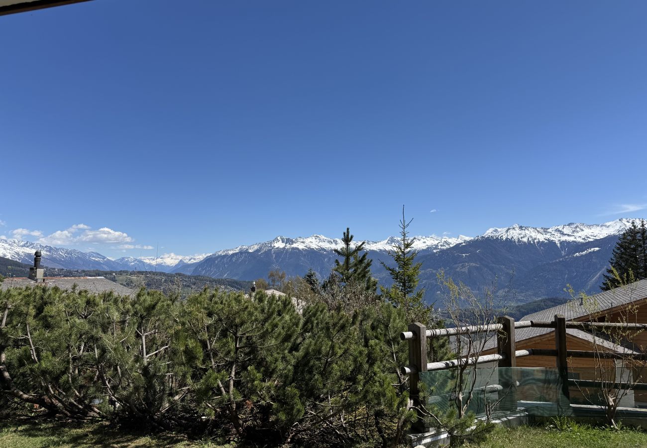 Appartement à Anzère - Domaine des Alpes 1